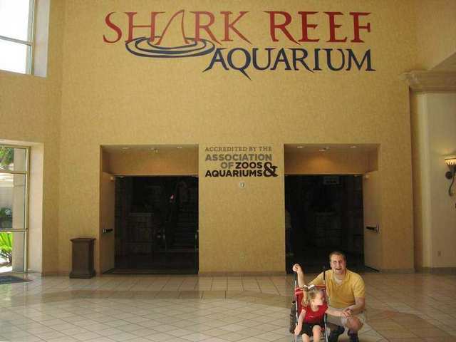 Shark Reef Aquarium, Mandalay Bay, Las Vegas, Nevada