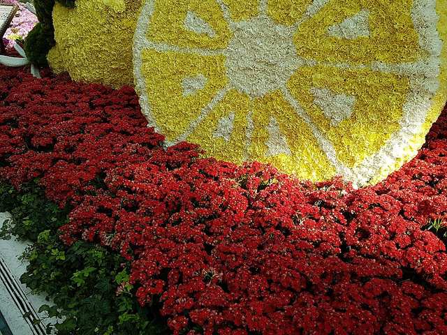 Bellagio Conservatory and Botanical Gardens - 3