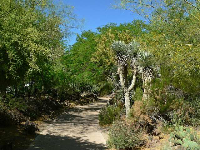 The Ethel M Botanical Cactus Garden