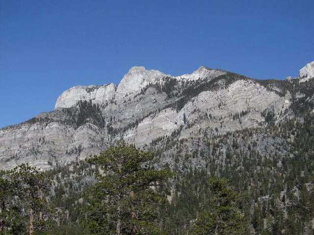 Mount Charleston