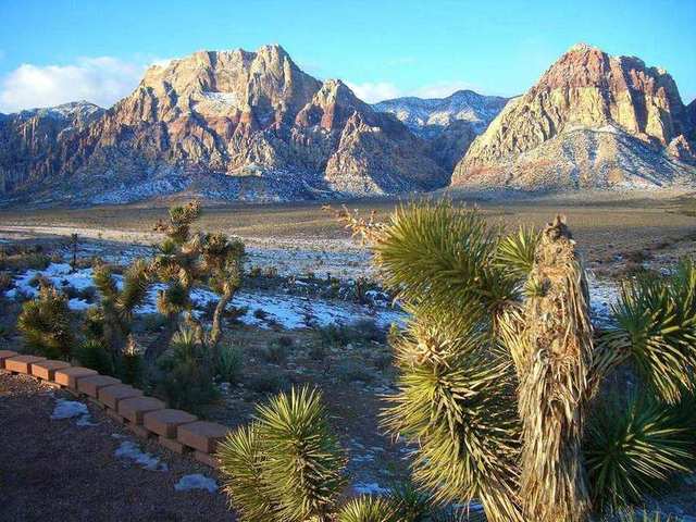 BLM Winter Bucket List #15: Red Rock Canyon National Conservation Area, Nevada, for a “Natural” Getaway with S